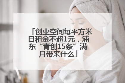 创业空间每平方米日租金不超1元，浦东“青创15条”满月带来什么