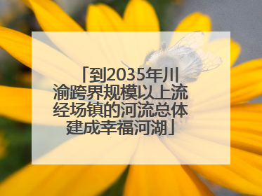 到2035年川渝跨界规模以上流经场镇的河流总体建成幸福河湖