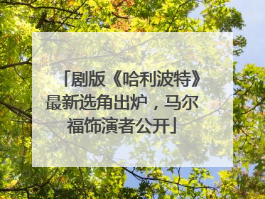 剧版《哈利波特》最新选角出炉，马尔福饰演者公开