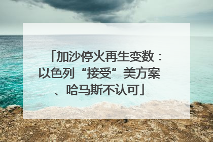 加沙停火再生变数：以色列“接受”美方案、哈马斯不认可