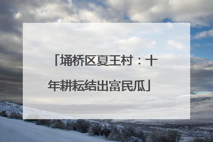 埇桥区夏王村：十年耕耘结出富民瓜