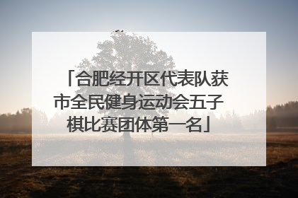 合肥经开区代表队获市全民健身运动会五子棋比赛团体第一名