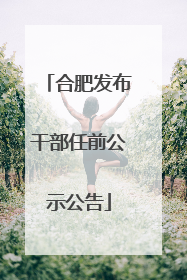 合肥发布干部任前公示公告