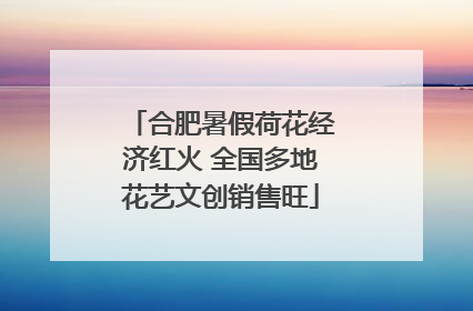 合肥暑假荷花经济红火 全国多地花艺文创销售旺