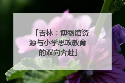 吉林：博物馆资源与小学思政教育的双向奔赴
