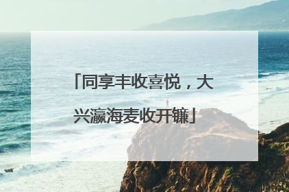 同享丰收喜悦，大兴瀛海麦收开镰