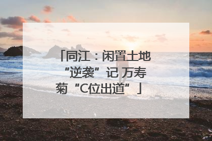 同江：闲置土地“逆袭”记 万寿菊“C位出道”