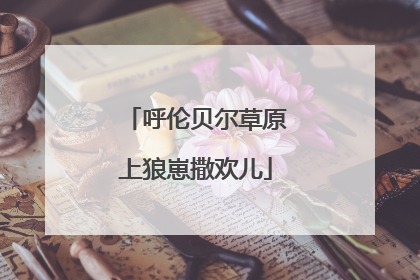 呼伦贝尔草原上狼崽撒欢儿