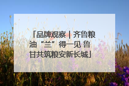 品牌观察｜齐鲁粮油“兰”得一见 鲁甘共筑粮安新长城