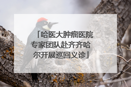 哈医大肿瘤医院专家团队赴齐齐哈尔开展巡回义诊