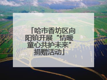 哈市香坊区向阳镇开展“情暖童心共护未来”捐赠活动