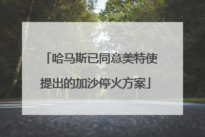 哈马斯已同意美特使提出的加沙停火方案