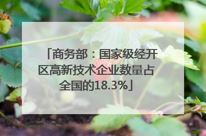 商务部：国家级经开区高新技术企业数量占全国的18.3%