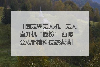 固定翼无人机、无人直升机“圈粉” 西博会成都馆科技感满满