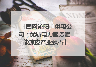 国网沁阳市供电公司：优质电力服务赋能凉皮产业飘香