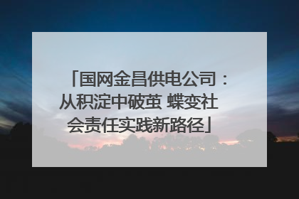 国网金昌供电公司：从积淀中破茧 蝶变社会责任实践新路径