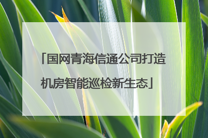 国网青海信通公司打造机房智能巡检新生态