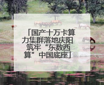 国产十万卡算力集群落地庆阳 筑牢“东数西算”中国底座