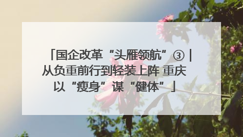 国企改革“头雁领航”③｜从负重前行到轻装上阵 重庆以“瘦身”谋“健体”