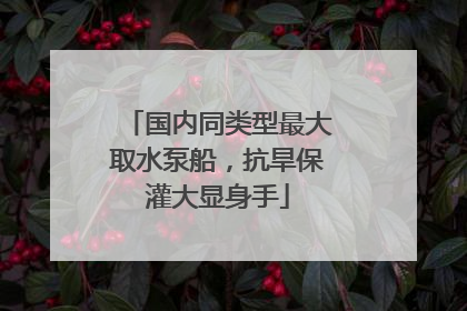 国内同类型最大取水泵船，抗旱保灌大显身手