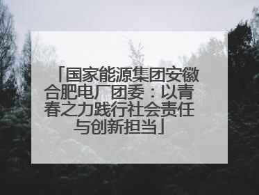 国家能源集团安徽合肥电厂团委：以青春之力践行社会责任与创新担当