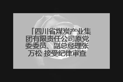 四川省煤炭产业集团有限责任公司原党委委员、副总经理张万松 接受纪律审查和监察调查