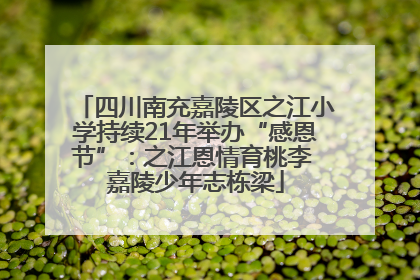 四川南充嘉陵区之江小学持续21年举办“感恩节”：之江恩情育桃李 嘉陵少年志栋梁
