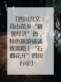 四川兴文：高山苗乡“避暑经济”热，特色旅游铺就致富路丨“石榴花开”四川行⑧