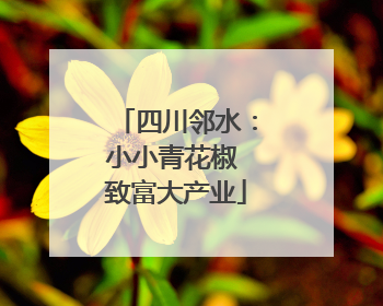四川邻水：小小青花椒 致富大产业
