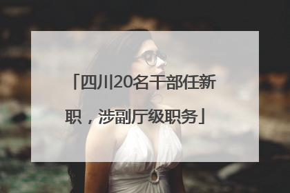 四川20名干部任新职，涉副厅级职务