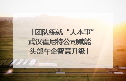 团队练就“大本事” 武汉霍尼特公司赋能头部车企智慧升级