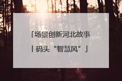 场景创新河北故事丨码头“智慧风”