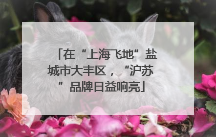 在“上海飞地”盐城市大丰区，“沪苏”品牌日益响亮