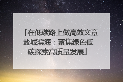 在低碳路上做高效文章 盐城滨海：聚焦绿色低碳探索高质量发展