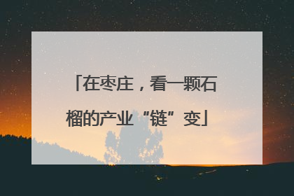 在枣庄，看一颗石榴的产业“链”变