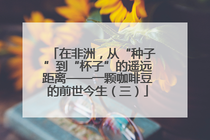 在非洲，从“种子”到“杯子”的遥远距离——一颗咖啡豆的前世今生（三）