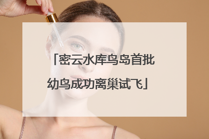 密云水库鸟岛首批幼鸟成功离巢试飞