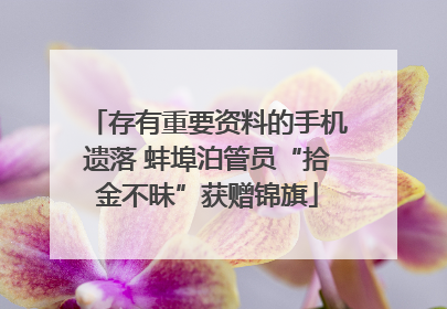 存有重要资料的手机遗落 蚌埠泊管员“拾金不昧”获赠锦旗