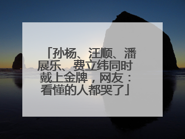 孙杨、汪顺、潘展乐、费立纬同时戴上金牌，网友：看懂的人都哭了