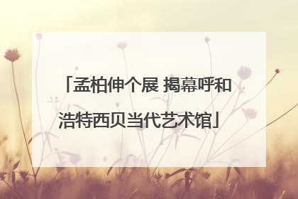 孟柏伸个展 揭幕呼和浩特西贝当代艺术馆