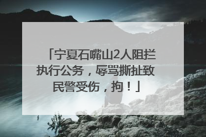 宁夏石嘴山2人阻拦执行公务，辱骂撕扯致民警受伤，拘！