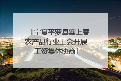 宁夏平罗县塞上春农产品行业工会开展工资集体协商
