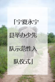 宁夏永宁县举办少先队示范性入队仪式