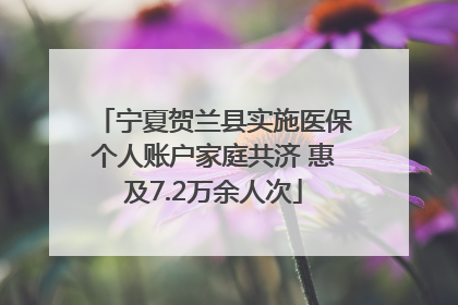 宁夏贺兰县实施医保个人账户家庭共济 惠及7.2万余人次