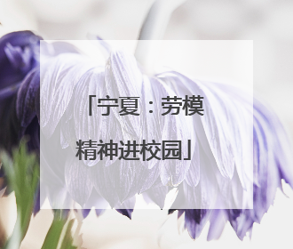 宁夏：劳模精神进校园