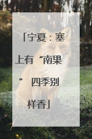 宁夏：塞上有“南果” 四季别样香
