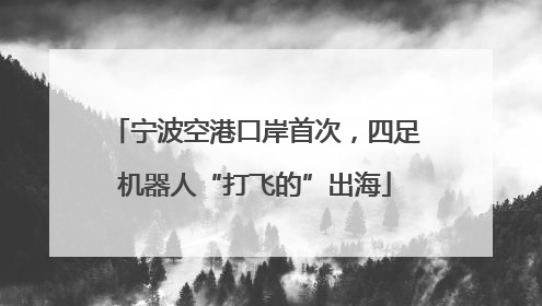 宁波空港口岸首次，四足机器人“打飞的”出海