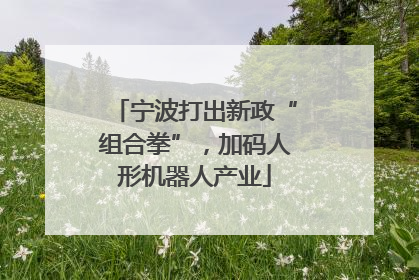 宁波打出新政“组合拳”，加码人形机器人产业