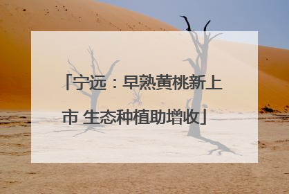 宁远：早熟黄桃新上市 生态种植助增收