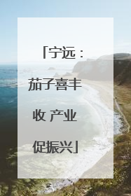 宁远：茄子喜丰收 产业促振兴